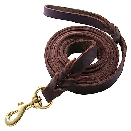 AISHANBAIHUODIAN 1,2 cm Breite, handgefertigt, echtes Hundeleine, Leder, braun, geflochten, Starke Hundeleine, passend for mittelgroße Welpen, Hundegurt (Color : Brown, Size : 160CMx18MM) von QWERTYUI