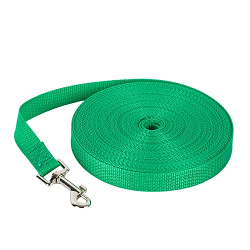 AISHANBAIHUODIAN 1,2 m-10 m Längere Haustier Leinen Seil Outdoor Training Laufen Hund Leine Gürtel PP Hunde Blei Fit for Chihuahua Kleine und Große Hund Produkt (Color : Green, Size : XS 1.2M) von QWERTYUI