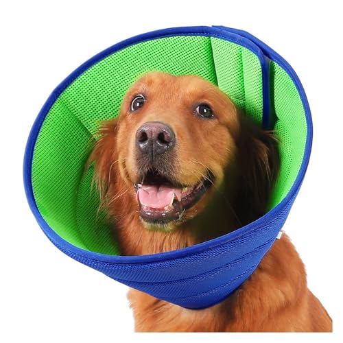 AISHANBAIHUODIAN Das elisabethanische Genesungshalsband for Hunde verhindert das Lecken des verletzten Bereichs und schützt Ihr Haustier vor Verletzungen. SCIE999 (Color : Blue Green, Size : S Code von QWERTYUI