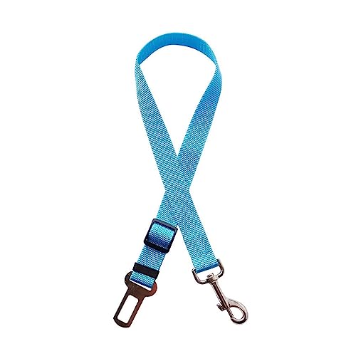 AISHANBAIHUODIAN Einstellbare Haustier Hund Fit for Katze Auto Sicherheitsgurt Haustier Sitz Fahrzeug Hundegeschirr Leine Clip Sicherheitshebel Traktion Hund Zubehör Kettenhalsband (Color : Sky Blue von QWERTYUI