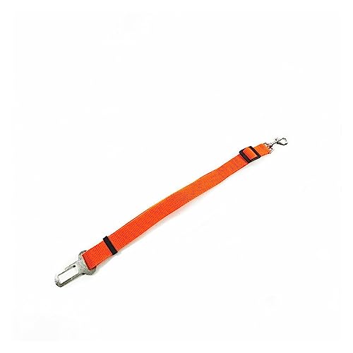 AISHANBAIHUODIAN Einstellbare Haustier Hund Katze Fit for Auto Sicherheitsgurt Haustier Sitz Fahrzeug Hundegeschirr Leine Clip Sicherheitshebel Traktion Hundehalsbänder Hunde Zubehör (Color : Orange AISHANBAIHUODIAN Einstellbare Haustier Hund Katze Fit for Auto Sicherheitsgurt Haustier Sitz Fahrzeug Hundegeschirr Leine Clip Sicherheitshebel Traktion Hundehalsbänder Hunde Zubehör (Color : Orange von QWERTYUI