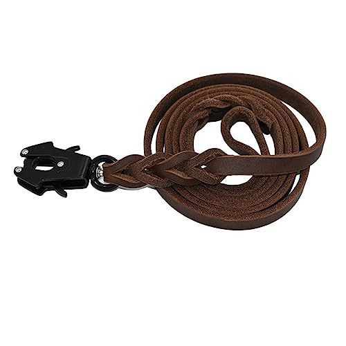 AISHANBAIHUODIAN Geflochtene Hundeleine, Leder, echtes Leder, Hundeleinen, passend for große Hunde, echtes Leder, Hundeleine, Leder, große Hundeleine, Training (Color : Brown, Size : 1.8cmX160cm) von QWERTYUI