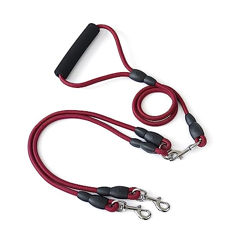 AISHANBAIHUODIAN Haustier-Hundeleine, Leine, Nylon, grundlegende Welpenleinen, solides, weiches Katzenhalsband mit Leine, Outdoor-Walking-Seil, Chihuahua-Haustier-Hund, passend for Zubehör (Color : B AISHANBAIHUODIAN Haustier-Hundeleine, Leine, Nylon, grundlegende Welpenleinen, solides, weiches Katzenhalsband mit Leine, Outdoor-Walking-Seil, Chihuahua-Haustier-Hund, passend for Zubehör (Color : B von QWERTYUI