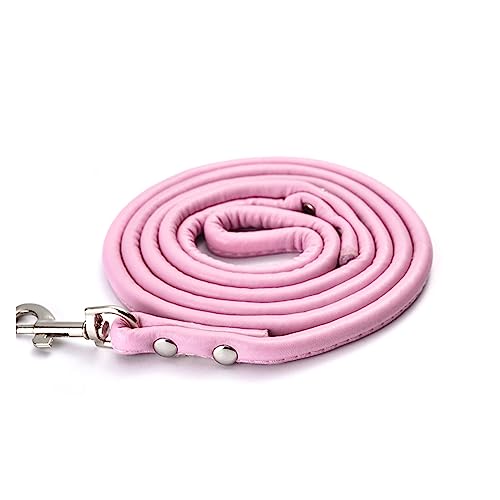 AISHANBAIHUODIAN Haustierbedarf Hundeleine Mode Mehrfarbiges PU-Rundseil Kleine und mittlere Hundeleine Haustier-Hundeleine Hund passend for Zubehör Hundekette (Color : Pink) von QWERTYUI