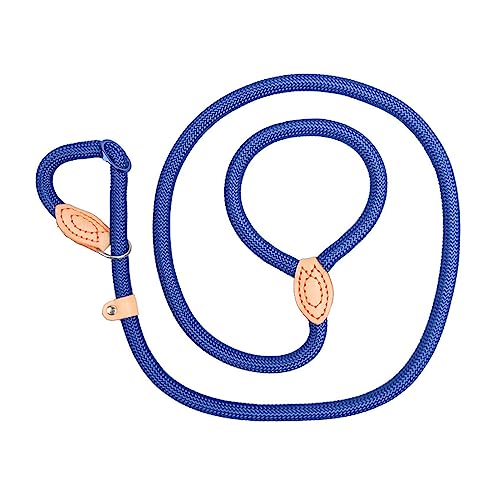 AISHANBAIHUODIAN Hundeleine, Slip-Seil-Leine, strapazierfähig, geflochtenes Seil, verstellbare Schlaufe, Halsband, Trainingsleinen, passend for große Hunde (Color : Blue, Size : 0.6cm 1.5M) von QWERTYUI