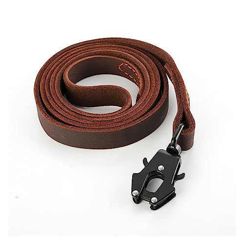 AISHANBAIHUODIAN Hundeleine aus Leder, echtes Leder, Hundeleinen, passend for große Hunde, echtes Leder, Hundeleine, Leder, große Hundeleine, Training (Color : Brown, Size : 1.5cmX100cm) von QWERTYUI