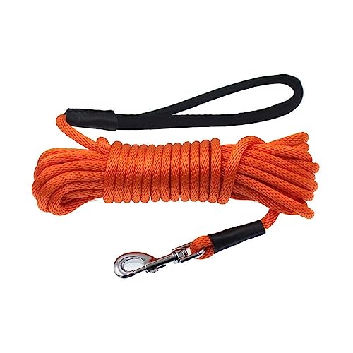 AISHANBAIHUODIAN Lange Leine for Hunde (Color : Orange, Size : 10mmX15m) von QWERTYUI