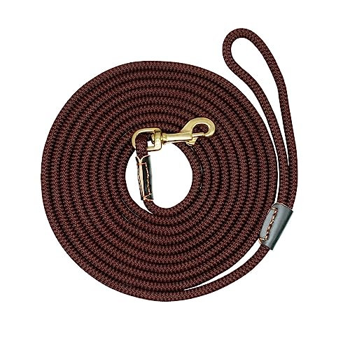 AISHANBAIHUODIAN Langlebige Hunde-Tracking-Leine, Nylon, Lange Leinen, Seil, Haustier-Training, Laufleinen, 3 m, 5 m, 10 m, 20 m, passend for mittelgroße und große Hunde, rutschfest (Color : Coffee, von QWERTYUI