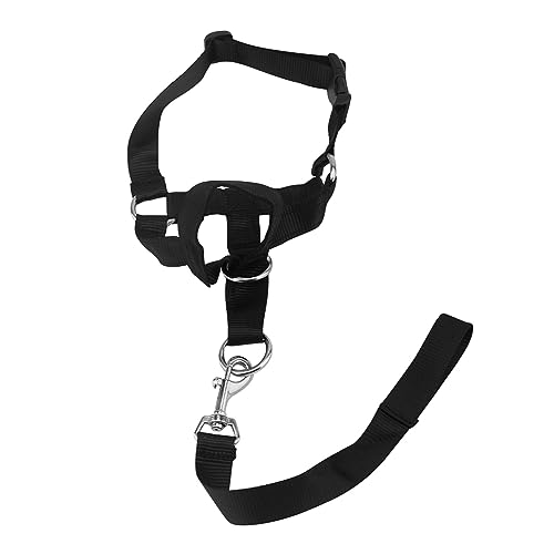 AISHANBAIHUODIAN Leine, verstellbare Schlaufe, Outdoor-Walking-Training, Nylon, Heimtierbedarf, Pflegemund, passend for Abdeckung, Anti-Beiß-Maulkorb for Hunde, langlebig, stoppt Kauen (Size : S) von QWERTYUI