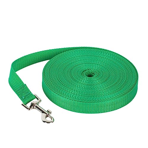 AISHANBAIHUODIAN Neue Lange Hundeleine Seil Bequeme Schwammgriff Haustierleine Gürtel Outdoor Training Hund Lanyard Fit for Kleine Mittelgroße Hunde Produkt (Color : Green, Size : 3m) von QWERTYUI