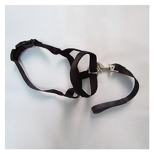 AISHANBAIHUODIAN Verstellbarer Führungsgürtel, Hundehalsband, Keine Zugbissgurte, Geschirrkopf, passend for Halsband, Maulkorb, Hundehalter, Training, Nylonleine, klassisches Halsband (Color : Black AISHANBAIHUODIAN Verstellbarer Führungsgürtel, Hundehalsband, Keine Zugbissgurte, Geschirrkopf, passend for Halsband, Maulkorb, Hundehalter, Training, Nylonleine, klassisches Halsband (Color : Black von QWERTYUI