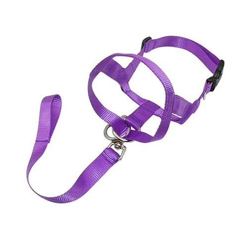 AISHANBAIHUODIAN Verstellbarer Führungsgürtel, Hundehalsband, Keine Zugbissgurte, Geschirrkopf, passend for Halsband, Maulkorb, Hundehalter, Training, Nylonleine, klassisches Halsband (Color : Purple von QWERTYUI