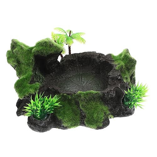 Näpfe for Reptilien und Amphibien, Wassernapf for Reptilien, 1 Futternapf, Gecko-Futternapf, Reptiliennapf, Reptilien-Dekor, Wassernapf for Schildkröten, natürlicher Reptiliennapf Näpfe for Reptilien und Amphibien, Wassernapf for Reptilien, 1 Futternapf, Gecko-Futternapf, Reptiliennapf, Reptilien-Dekor, Wassernapf for Schildkröten, natürlicher Reptiliennapf von QWFVHJ