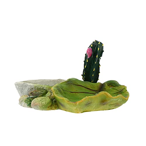 Schalen for Reptilien und Amphibien, Wasserschale for Reptilien, 1 Stück Futterschale for Reptilien, Futterschale for Reptilien, Terrariumschale, Futterschale for Eidechsen, Reptilienbecken Schalen for Reptilien und Amphibien, Wasserschale for Reptilien, 1 Stück Futterschale for Reptilien, Futterschale for Reptilien, Terrariumschale, Futterschale for Eidechsen, Reptilienbecken von QWFVHJ