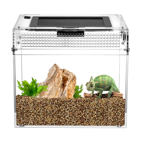 QWORK® Reptil Fütterungsbox, Feeding Box, 20 * 20 * 18cm für eine Vielzahl an Reptilien und Insekten von QWORK