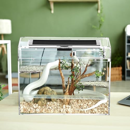 QWORK® Reptil Fütterungsbox, Feeding Box, 30 * 18 * 22cm für eine Vielzahl an Reptilien und Insekten von QWORK