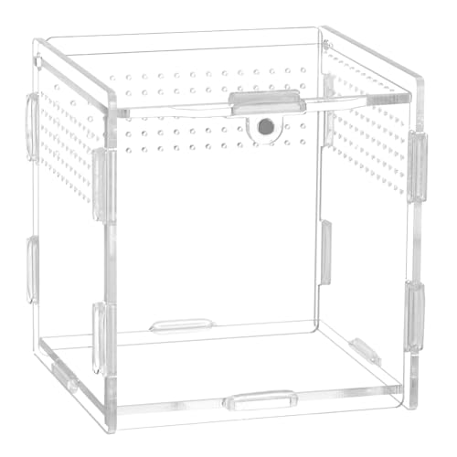 QWORK® Reptil Fütterungsbox aus Acryl, Feeding Box, 9.5 x 9 x 9 cm für Gottesanbeterin, Spinnen, Eidechsen, Schnecken von QWORK