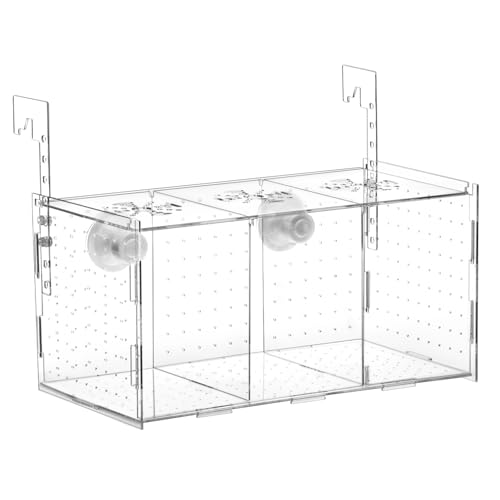 QWORK Fischzuchtbox, Acryl Fisch Isolation Box Aquarium Brutkasten für Clownfische, Garnelen, Neugeborene Fry, Guppy, 29,2 x 15,2 x 15,2 cm QWORK Fischzuchtbox, Acryl Fisch Isolation Box Aquarium Brutkasten für Clownfische, Garnelen, Neugeborene Fry, Guppy, 29,2 x 15,2 x 15,2 cm von QWORK