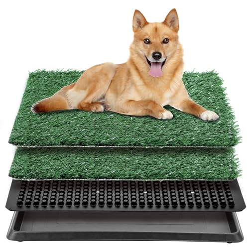 QWORK Hundegrasunterlage mit Tablett, inklusive 2 Ersatzmatten, Hundetoilette für Wohnung und Terrassentraining QWORK Hundegrasunterlage mit Tablett, inklusive 2 Ersatzmatten, Hundetoilette für Wohnung und Terrassentraining von QWORK