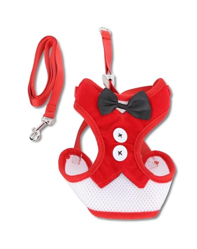Cat Vest Geschirr mit Verstellbarer Leine – strapazierfähige Flucht - Schutzweste + süßes Design + leicht an - und auszuziehen für Katzen 2,5-10kg (Mittelgroß) von QWUUYEC