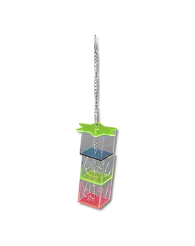 QWUUYEC Parrot Toy Foraging Box - Nymphensittich Spielzeug, Papageienspielzeug, Non-Toxic Acrylic, Intelligence & Activity Booster, Food Dispenser, Colorful Hanging Bird Toy QWUUYEC Parrot Toy Foraging Box - Nymphensittich Spielzeug, Papageienspielzeug, Non-Toxic Acrylic, Intelligence & Activity Booster, Food Dispenser, Colorful Hanging Bird Toy von QWUUYEC
