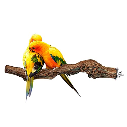 QYEW Vogel-Spielständer für Papageien, Stange, Stange, Stange, für Vögel, Papageien, Naturständer, aus Holz von QYEW