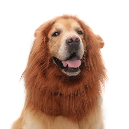 Löwenmähne für Hunde, Löwenmähne-Kostüm für Hunde, realistische Schwarze Löwenmähne-Perücke für Hunde, Halloween-Kostüm, Löwenmähne für Hunde mit Schwanz und Ohren für mittelgroße und große Hunde Löwenmähne für Hunde, Löwenmähne-Kostüm für Hunde, realistische Schwarze Löwenmähne-Perücke für Hunde, Halloween-Kostüm, Löwenmähne für Hunde mit Schwanz und Ohren für mittelgroße und große Hunde von QYJLOFMVE