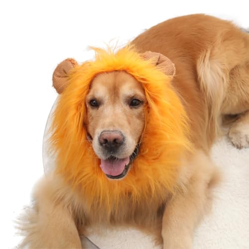 Löwenmähne für Hunde, Löwenmähne-Kostüm für Hunde, realistische Schwarze Löwenmähne-Perücke für Hunde, Halloween-Kostüm, Löwenmähne für Hunde mit Schwanz und Ohren für mittelgroße und große Hunde Löwenmähne für Hunde, Löwenmähne-Kostüm für Hunde, realistische Schwarze Löwenmähne-Perücke für Hunde, Halloween-Kostüm, Löwenmähne für Hunde mit Schwanz und Ohren für mittelgroße und große Hunde von QYJLOFMVE