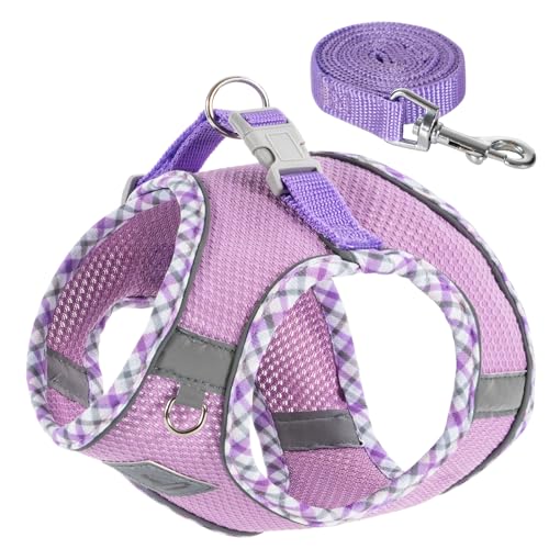 Hundegeschirr und Leine, reflektierend, kein Ziehen, Halsbänder für kleine, mittelgroße Hunde, Katzen – sicher mit Klettverschluss, Schnalle, Doppel-D-Ring Hundegeschirr und Leine, reflektierend, kein Ziehen, Halsbänder für kleine, mittelgroße Hunde, Katzen – sicher mit Klettverschluss, Schnalle, Doppel-D-Ring von QYJinlida