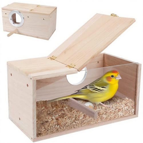 QYRDBGY Nistkasten Wellensittich, Papagei Zucht Box mit Klappdeckel Vogelhaus aus Massivholz Transparentes Design Vogelzuchtbox für Papageien Exoten und Ziervögel (19.5x12x12cm) von QYRDBGY