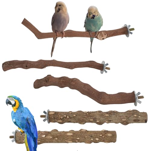 5 Stück Wellensittich Spielzeug Natur Sitzstangen für Vogelkäfig, Vogelkäfig Zubehör Vogelspielplatz für Nymphensittich Kanarienvogel (Traubenholz & Pfefferholz) von QZDAFFIC