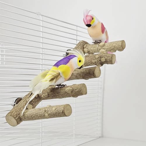 6PCS Natur Wellensittich Sitzstangen, Holz Papagei Plattform, Kleine Vögel Futterstange Spielzeug Vogelkäfig Zubehör für Nymphensittich Kanarienvogel von QZDAFFIC