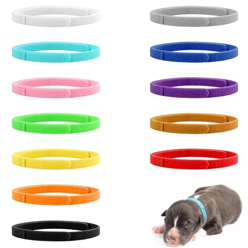 QZKJQDD 24 Stück Welpen Id Halsbänder, Kitten Halsbänder, Welpenhalsbänder Für Züchter, Welpenhalsband, Welpen Halsband, Einstellbar, Weich, Für Neugeborener Welpen Kitten Haustie (12 Farben) von QZKJQDD