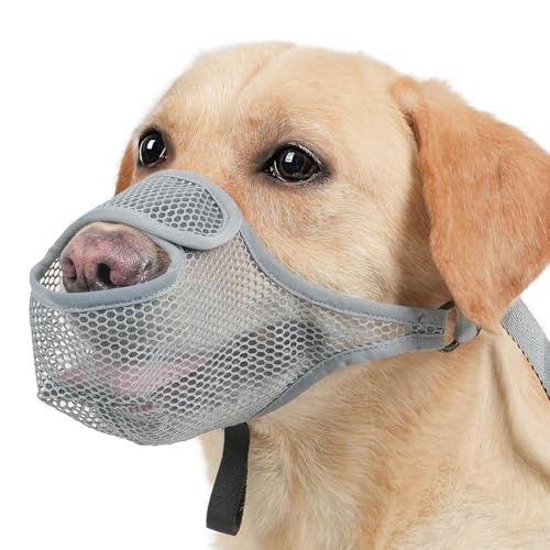 QZKJQDD Nylon Maulkorb Mittlere Hunde, Maulkorb für Große Hunde, Mit verstellbarem Riemen, um Beißen, Lecken und Kauen zu verhindern und so Hecheln und Trinken zu ermöglichen (Silbergrau,L) von QZKJQDD