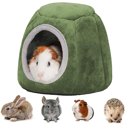 Hamster Haus Bett, Meerschweinchen Haus, Bett für kleine Tiere, Kleintierbett Hamster, Hamster Nest, Hamster House, mit Aufhängeöse, für Hamster, Chinchillas, Meerschweinchen, Kleintiere (Grün A) Hamster Haus Bett, Meerschweinchen Haus, Bett für kleine Tiere, Kleintierbett Hamster, Hamster Nest, Hamster House, mit Aufhängeöse, für Hamster, Chinchillas, Meerschweinchen, Kleintiere (Grün A) von Qanye