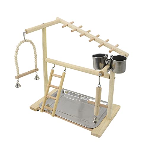 Qaonsciug Vogelsitz Ständer Papageien Spielständer Mit Edelstahl Tablett Futterbecher Leiter Schaukel Holz Kauspielzeug Für Kleine Vögel Qaonsciug Vogelsitz Ständer Papageien Spielständer Mit Edelstahl Tablett Futterbecher Leiter Schaukel Holz Kauspielzeug Für Kleine Vögel von Qaonsciug