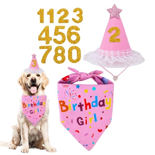 Hunde-Geburtstags-Halstuch, Hunde-Geburtstagshut mit Glitzer-Zahlen, für Geburtstage, Mädchen, Dekorationen, Rosa, Welpen, Haustier, Geburtstags-Outfit für kleine, mittelgroße und große Hunde von Qaziuy