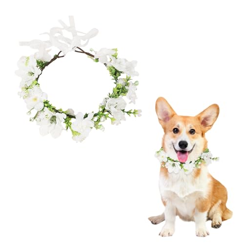 Hunde Hochzeits Blumenhalsband,Hunde Hochzeitshalsband Hund Hochzeit Outfit Haustier Blumenring Blumen Künstliche Blumenhalsband für Hunde Katze Hochzeit Geburtstag Foto Requisiten Hunde Hochzeits Blumenhalsband,Hunde Hochzeitshalsband Hund Hochzeit Outfit Haustier Blumenring Blumen Künstliche Blumenhalsband für Hunde Katze Hochzeit Geburtstag Foto Requisiten von Qaziuy