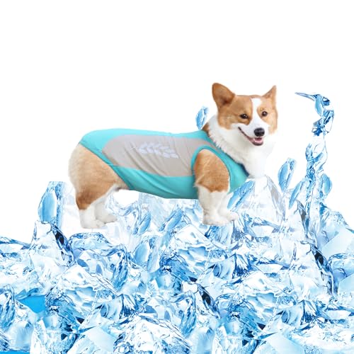 Hunde Kühlweste,Sommer Cool und Bequem Hundemantel Hund Kühljacke Kühlweste für Hunde Atmungsaktiv Mesh Haustier Kühlweste für Kleine bis Mittlere Hunde Hunde Kühlweste,Sommer Cool und Bequem Hundemantel Hund Kühljacke Kühlweste für Hunde Atmungsaktiv Mesh Haustier Kühlweste für Kleine bis Mittlere Hunde von Qaziuy