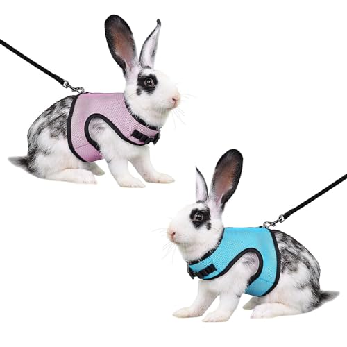 Kaninchen Geschirr Mit Leine - 2 Stück Verstellbares Weiches Mesh Hasenleine für Kleintiere, Hasen, Hamster, Katzen Outdoor Kaninchen Geschirr Mit Leine - 2 Stück Verstellbares Weiches Mesh Hasenleine für Kleintiere, Hasen, Hamster, Katzen Outdoor von Qaziuy