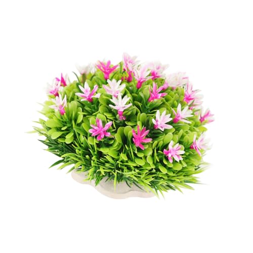 Qcbuegof Realistische Aquarium-Dekoration, Seetang, künstliche Blume, Gras, Pflanze für Aquarien, Heimgebrauch und Büro, Dekoration, Aquarien, Ornament Qcbuegof Realistische Aquarium-Dekoration, Seetang, künstliche Blume, Gras, Pflanze für Aquarien, Heimgebrauch und Büro, Dekoration, Aquarien, Ornament von Qcbuegof