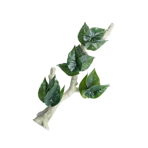 Reptilien Vine Saugnäpfe Aquarien Dekoration Wie Klettern Weinrebe Für Eidechsen Flexibler Dschungel Rattan Rebe Reptilien Vine Saugnäpfe Aquarien Dekoration Wie Klettern Weinrebe Für Eidechsen Flexibler Dschungel Rattan Rebe von Qcbuegof