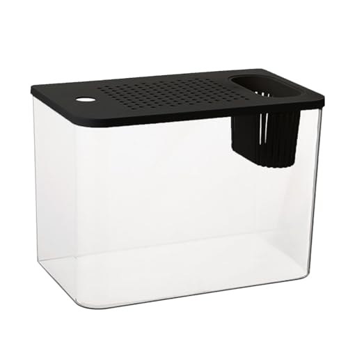 Transparente Aquarien mit sicherem Deckel und Wasserpflanzenständer für Goldfische, Heimdekoration und Schreibtisch, Aquarien und Aquarien mit Deckel von Qcbuegof