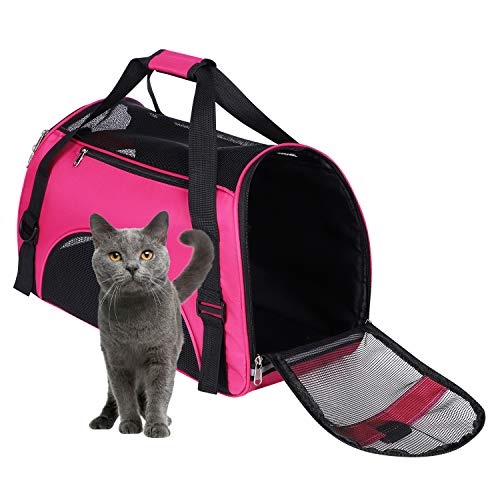 Tragetasche Transporttaschemit Schultergurt Hundetragetasche Katzentragetasche Mit Atmungsaktiv Mesh Reisetasche Hundebox Faltbare Kleintiertasche Transportbox Tragbar Haustiertragetasche Rucksack von Qchomee