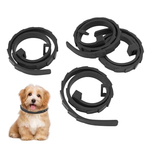 4 Stück Silikon-Hundehalsband, Haustierhalsband, Verstellbare Teleskop-Schnellverschluss-Schnalle, Outdoor-Welpenhalsbänder, Leichtes, Weiches Silikon-Hundehalsband für Kleine 4 Stück Silikon-Hundehalsband, Haustierhalsband, Verstellbare Teleskop-Schnellverschluss-Schnalle, Outdoor-Welpenhalsbänder, Leichtes, Weiches Silikon-Hundehalsband für Kleine von Qcwwy