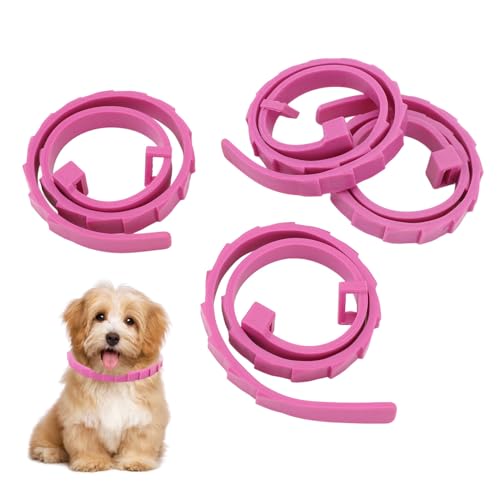 4 Stück Silikon-Hundehalsband, Haustierhalsband, Verstellbare Teleskop-Schnellverschluss-Schnalle, Outdoor-Welpenhalsbänder, Leichtes, Weiches Silikon-Hundehalsband für Kleine 4 Stück Silikon-Hundehalsband, Haustierhalsband, Verstellbare Teleskop-Schnellverschluss-Schnalle, Outdoor-Welpenhalsbänder, Leichtes, Weiches Silikon-Hundehalsband für Kleine von Qcwwy