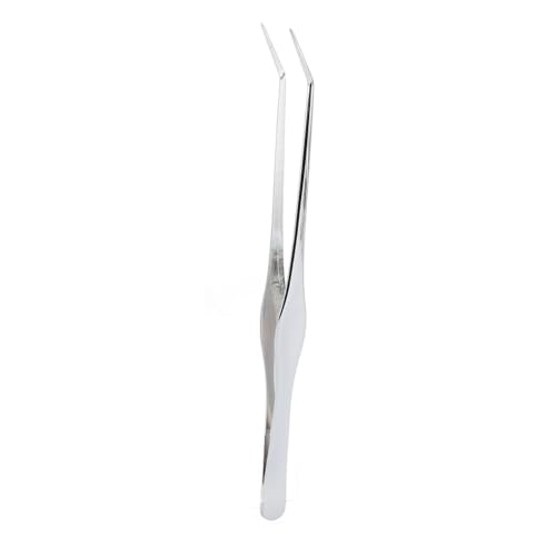 Aquarium-Pinzette, 24,9 cm, Aquarium-Pinzette, Edelstahl, Gerade, Aquascaping-Werkzeuge, Lange, Schlanke Aquarium-Pflanzenwerkzeuge Zum Jäten, Reinigen, (9,8 Zoll Gebogene Aquarium-Pinzette, 24,9 cm, Aquarium-Pinzette, Edelstahl, Gerade, Aquascaping-Werkzeuge, Lange, Schlanke Aquarium-Pflanzenwerkzeuge Zum Jäten, Reinigen, (9,8 Zoll Gebogene von Qcwwy