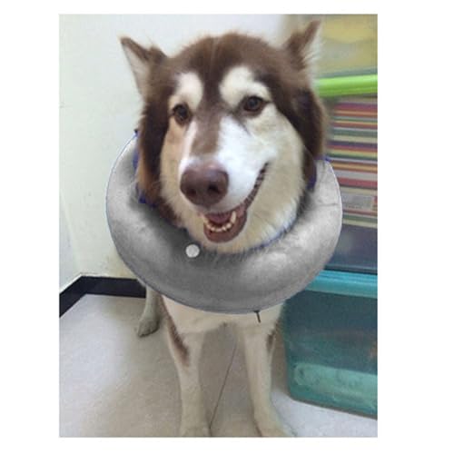 Aufblasbares Hundehalsband, Haustier-PVC-Aufblasbares Halsband, Anti-Biss-Warm-Elizabeth-Ring, Katzen-Hundekopfbedeckung, Aufblasbares Hundehalsband, (Grey) von Qcwwy