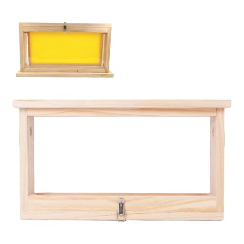 Bienenzuchtschachtel, Doppelseitig Transparente Acrylbrett Holzbienen -Bienen -Brut -Aufzuchtbeobachtungsfall mit Lüftungsschlitzen Imkerei Bildung Demonstration Lieferungen von Qcwwy