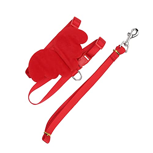 Enten-Traktionsleinen-Seil, Verstellbarer Brustgurt, Geschirr-Leine-Set für Outdoor-Training für Haustier-Enten, Hühner, Gänse, Nylon (XS) von Qcwwy